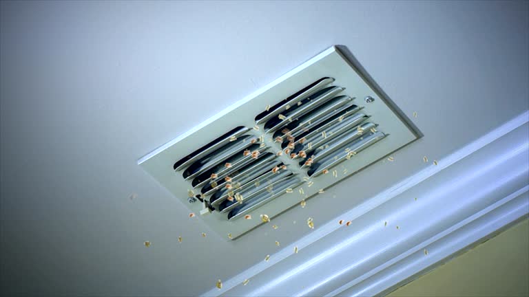Best Professional Duct Cleaning Services  in Spanish Lake, MO